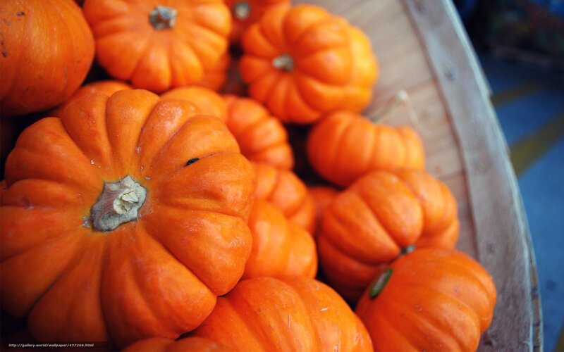 Small Orange Pumpkins — Autumnal, Autumn