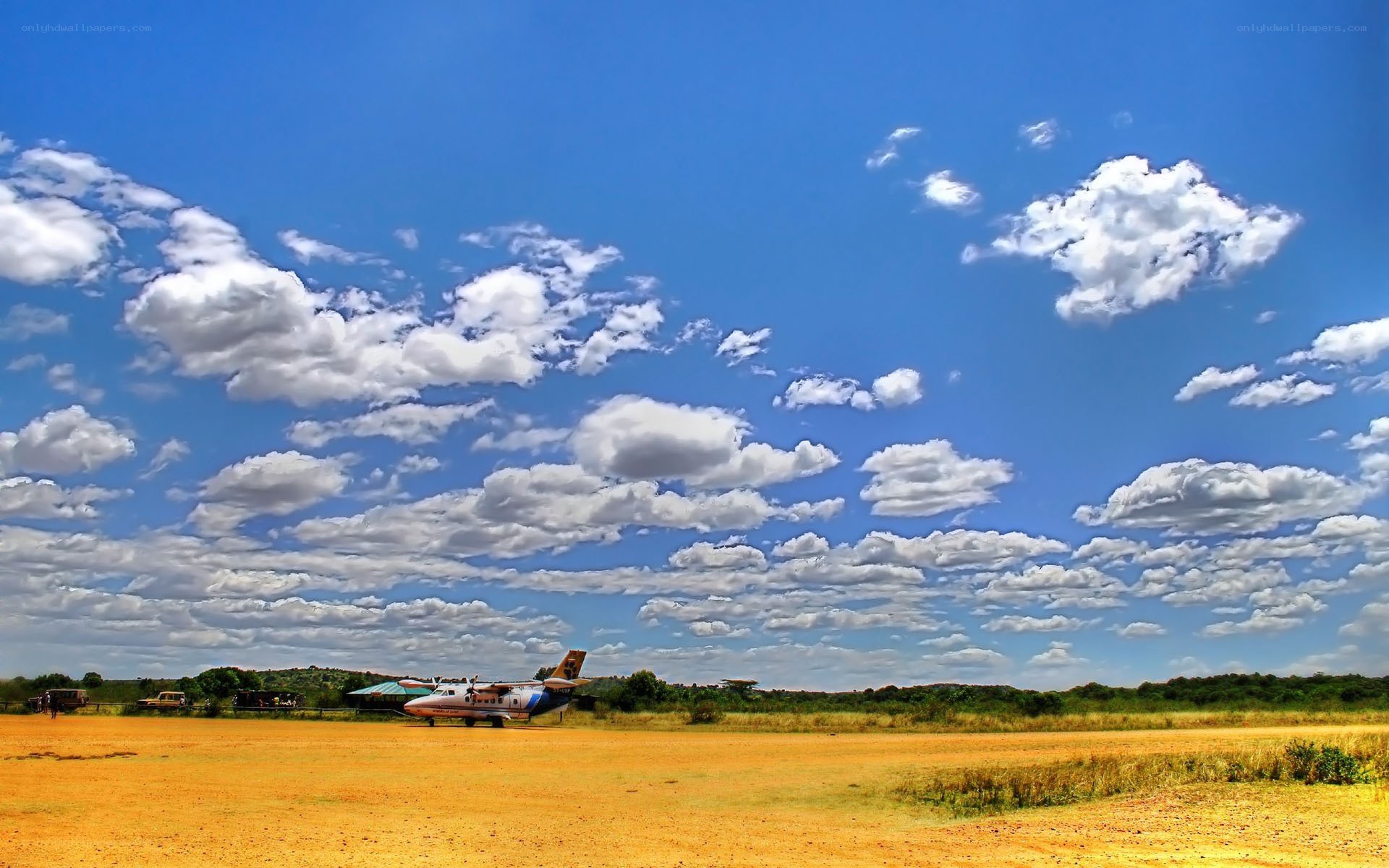 Small plane on a dirt runway