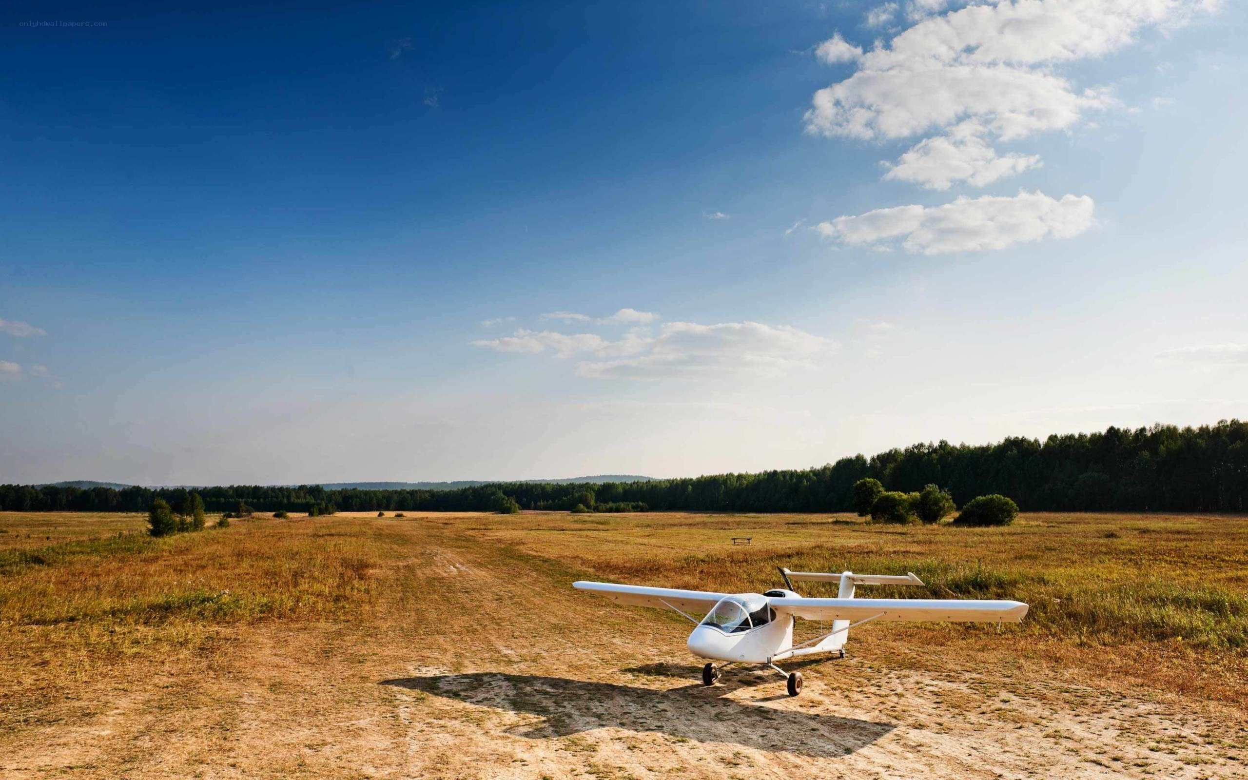 Small plane on a grassy field