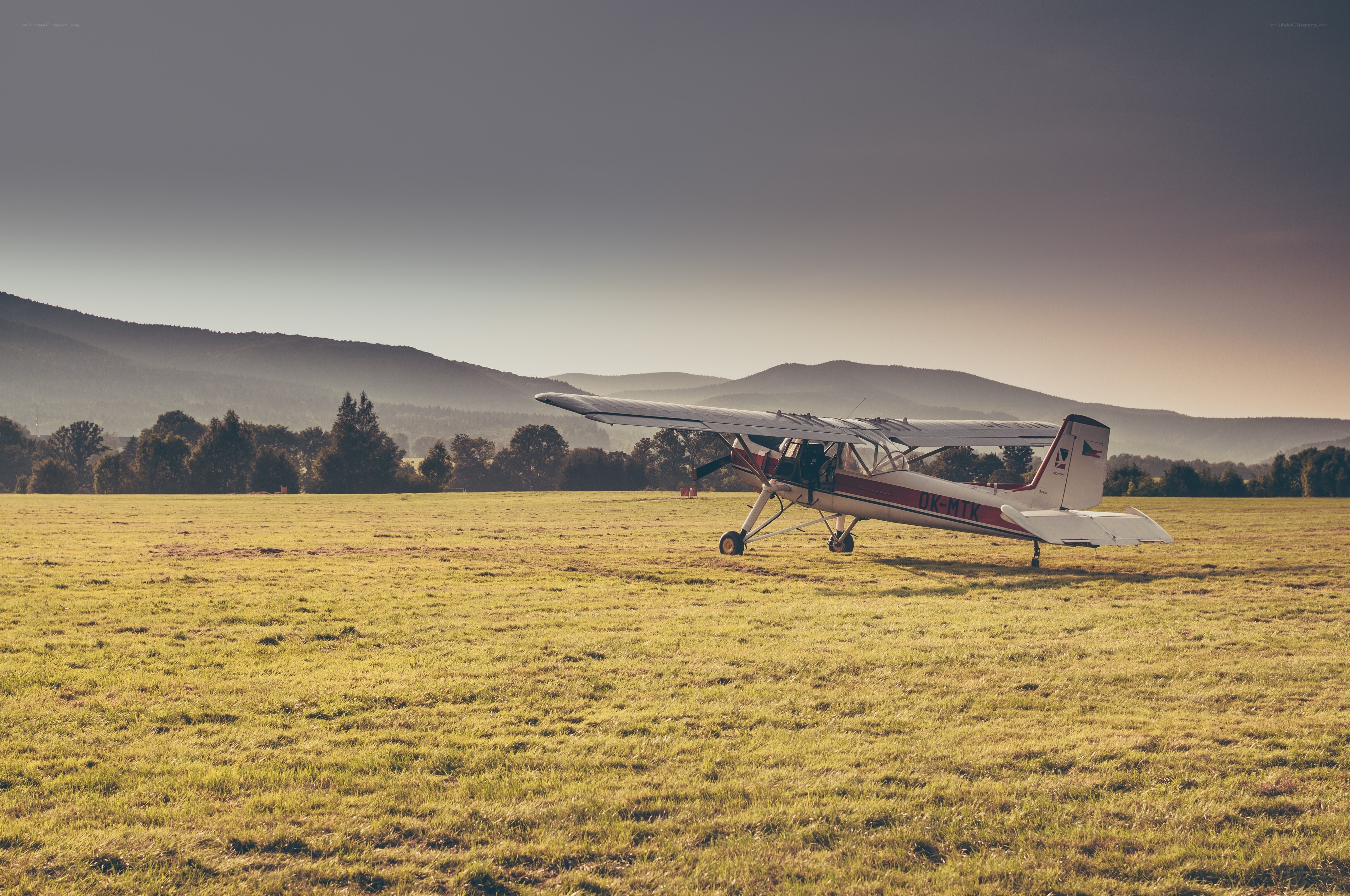 Small plane on a grassy field