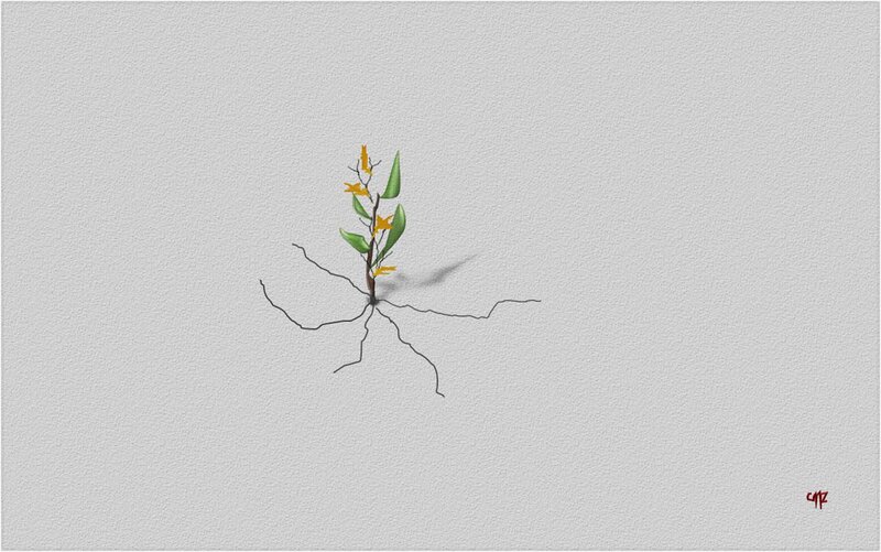 Small Plant with Roots