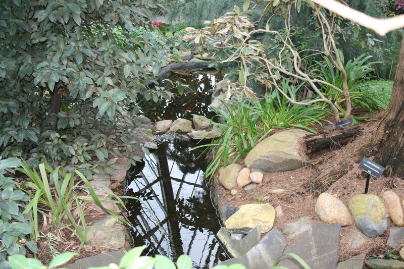 Small Pond in Garden