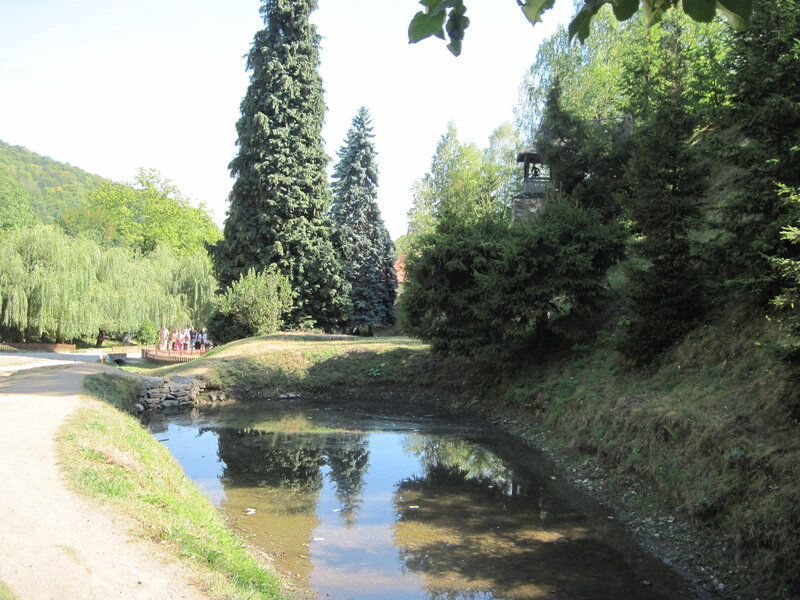 Small Pond in Park