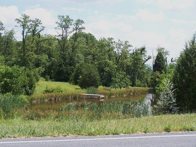 Small Pond with Dock