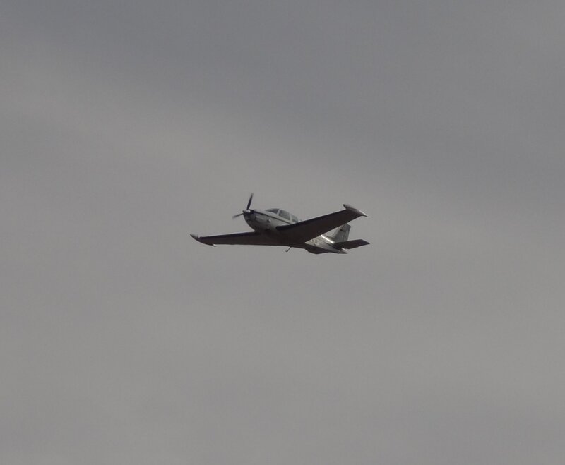 Small Propeller Airplane — Gray