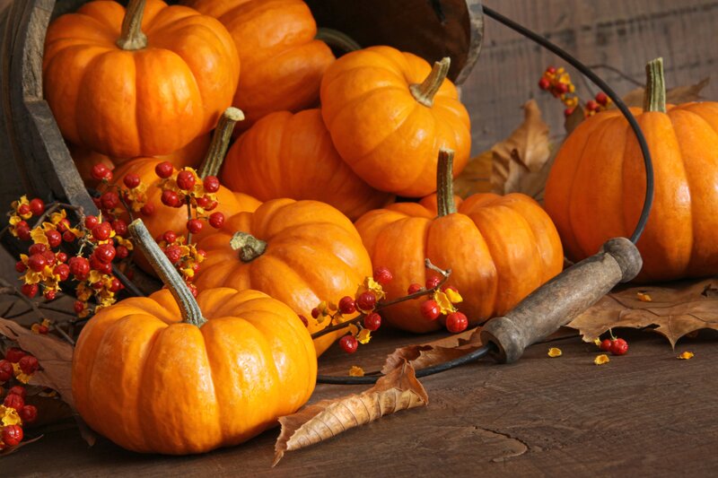 Small Pumpkins in a Basket
