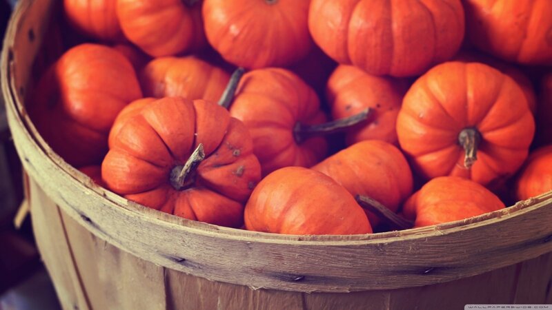 Small Pumpkins in Basket — Orange, Autumnal
