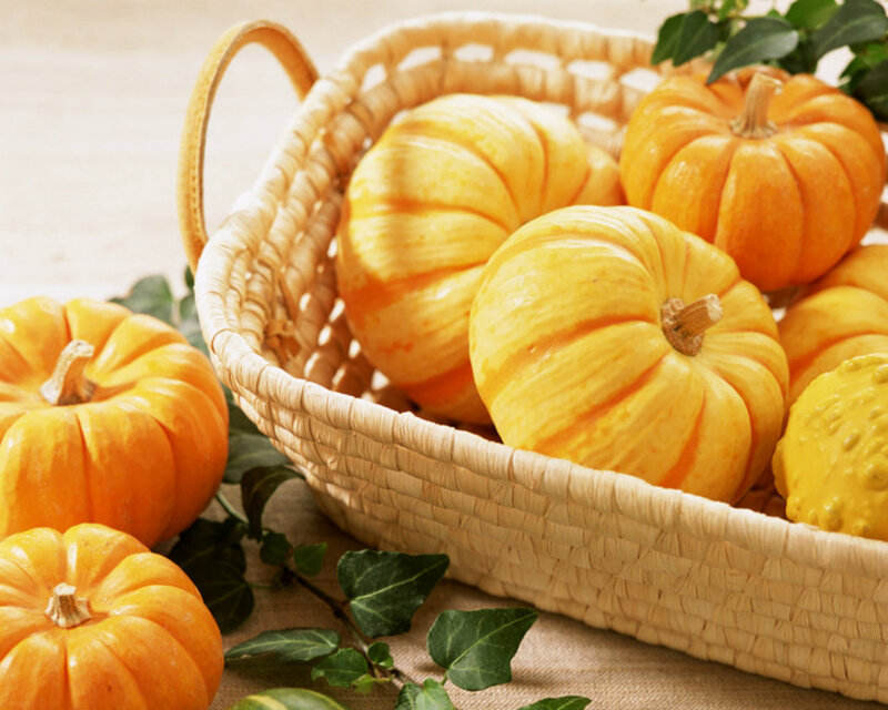 Small Pumpkins in Basket — Orange