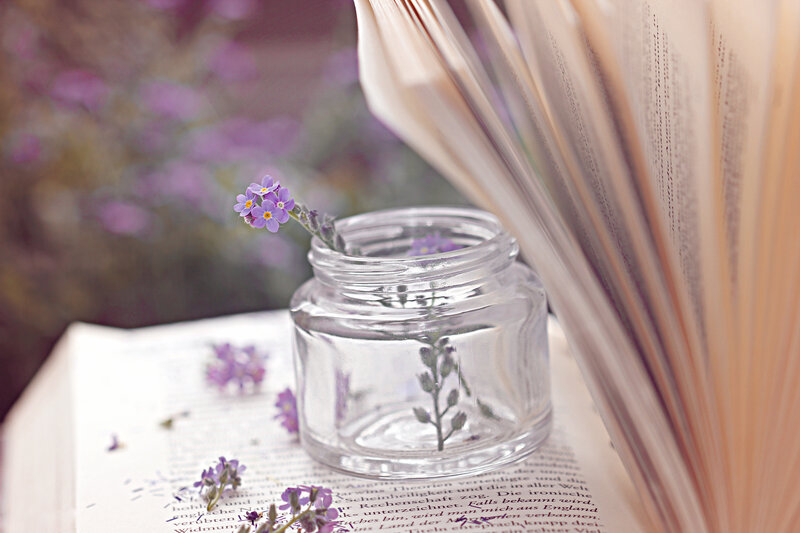 Small Purple Flowers — Serene, Photograph
