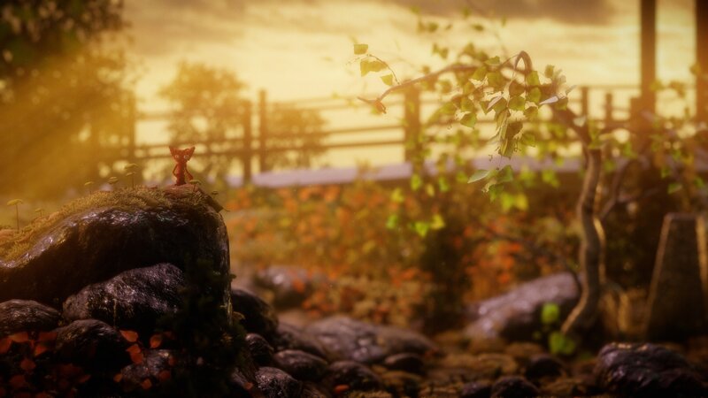 Small Red Creature on Rock