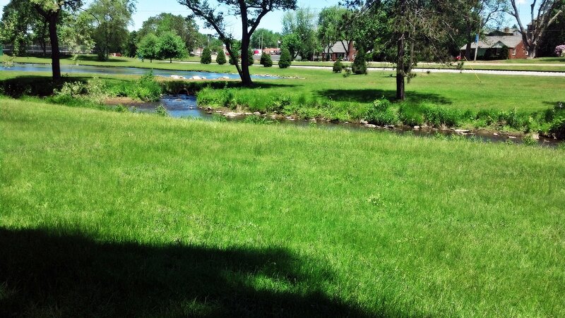 Small River in Park