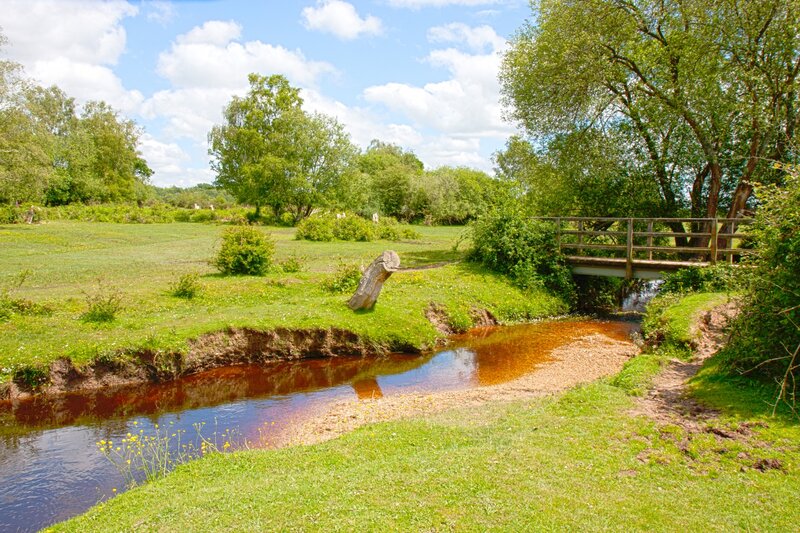 Small River with Wooden Bridge