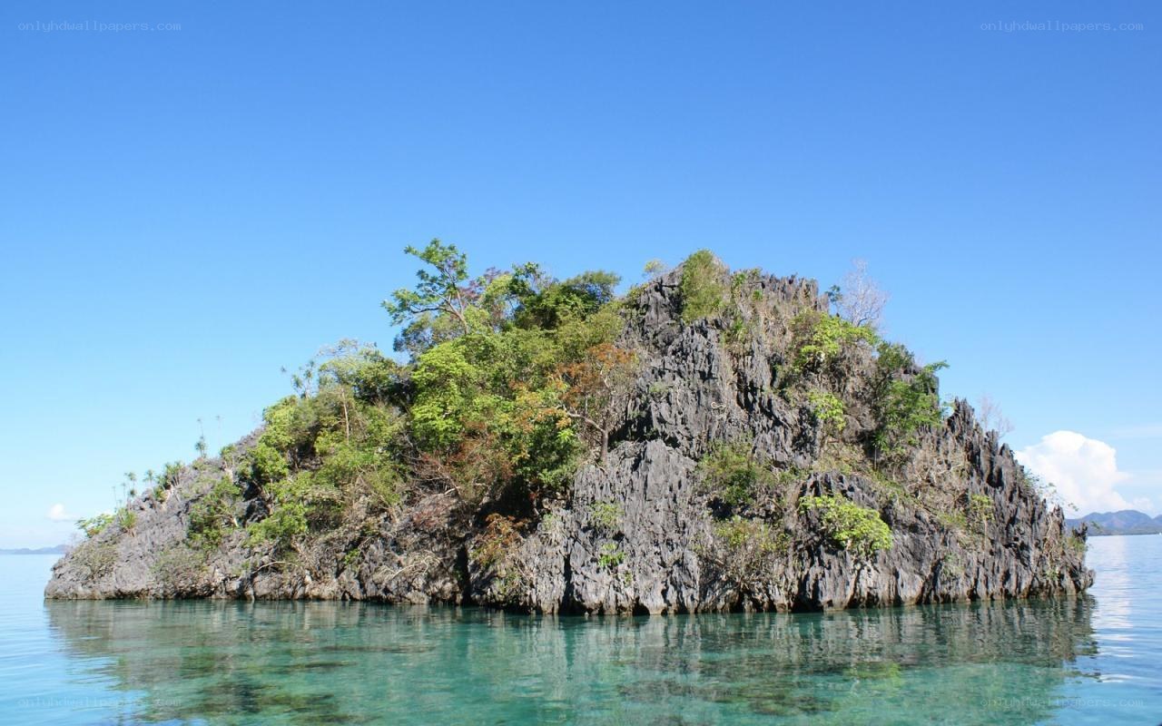 Small rocky island with trees