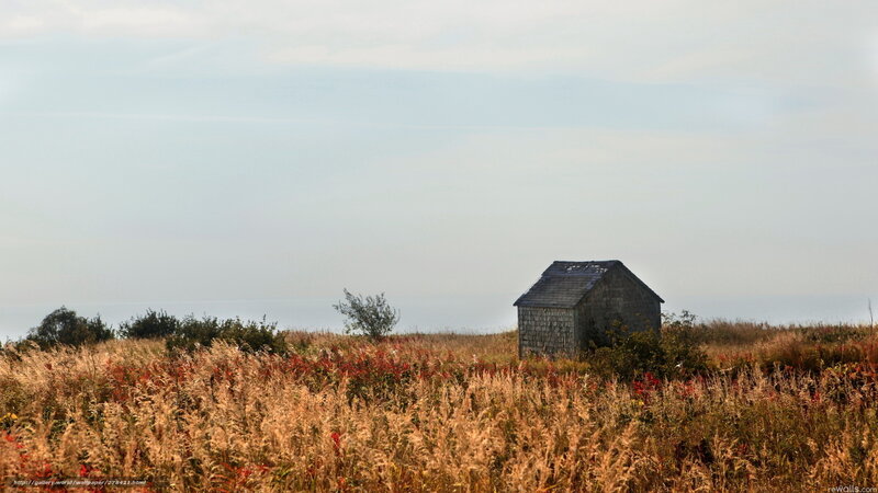 Small Shed in Field — Brown