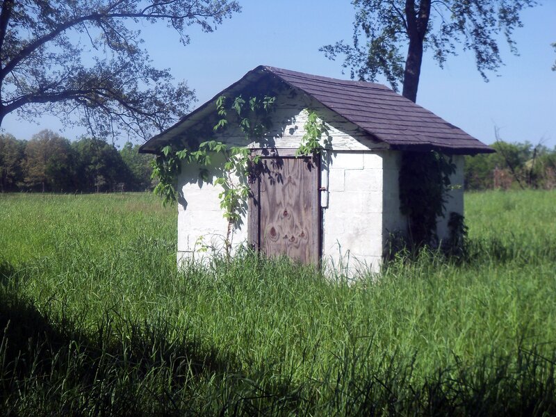 Small Shed in Field — Green, Serene