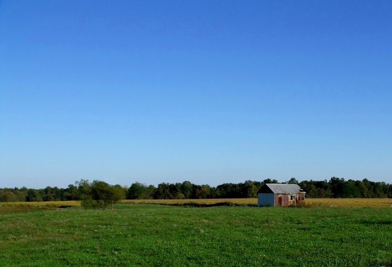 Small Shed in Field — Green