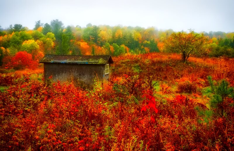Small Shed in Field — Red