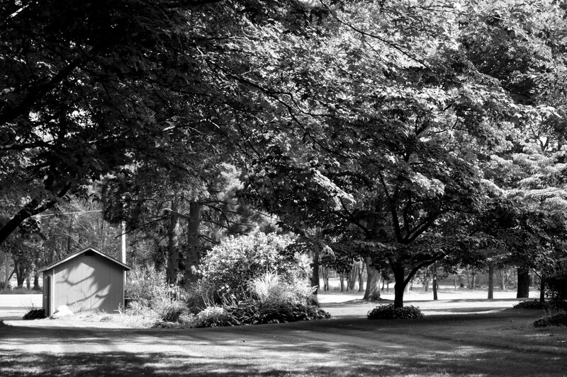 Small Shed in Park