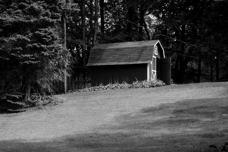 Small Shed in Yard