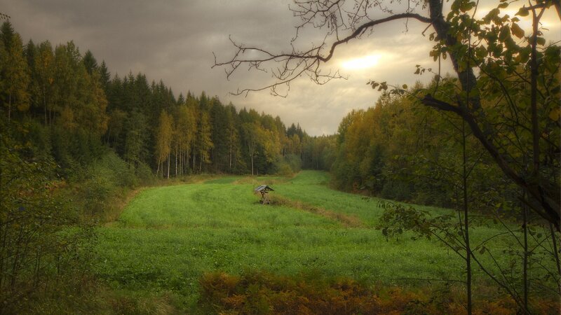 Small Shelter in Field