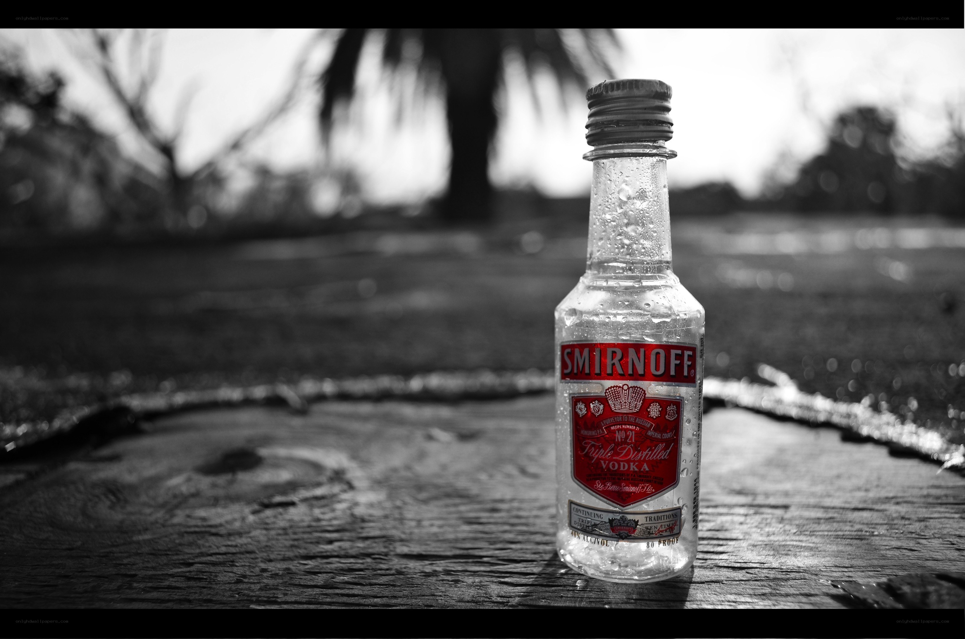 Small Smirnoff vodka bottle