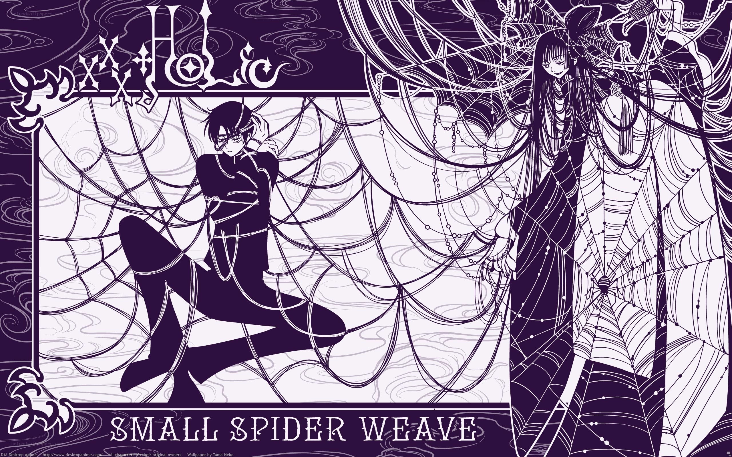 Small Spider Weave artwork