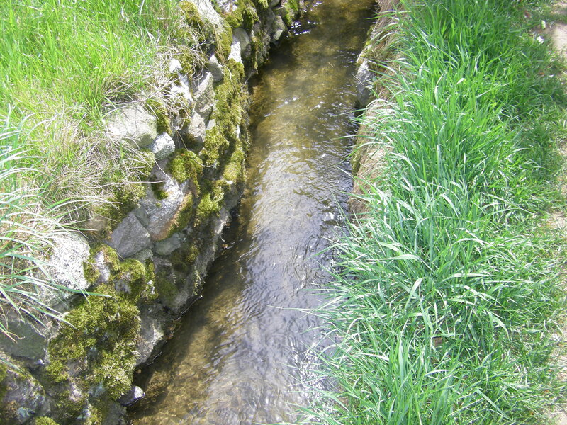 Small Stream in Ditch