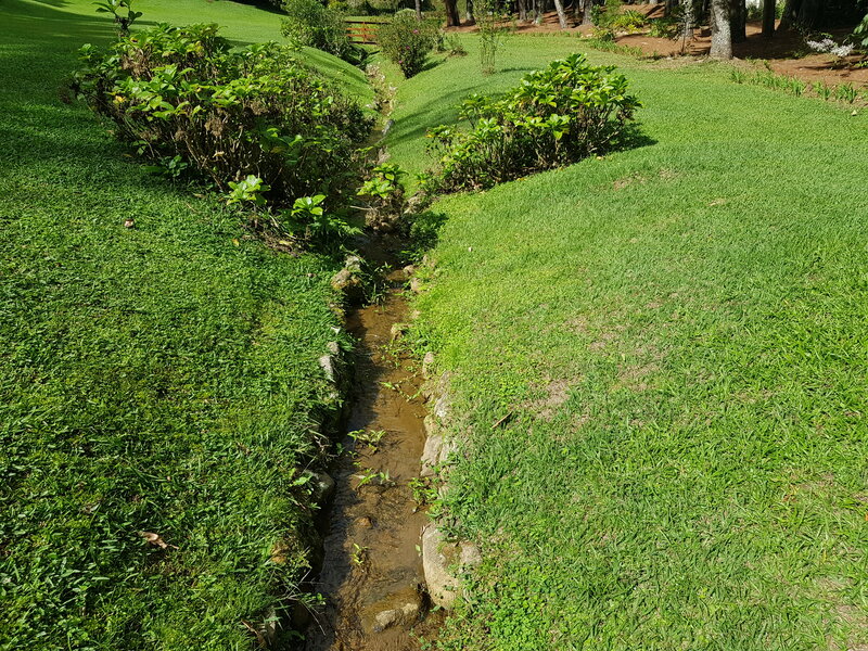 Small Stream in Park