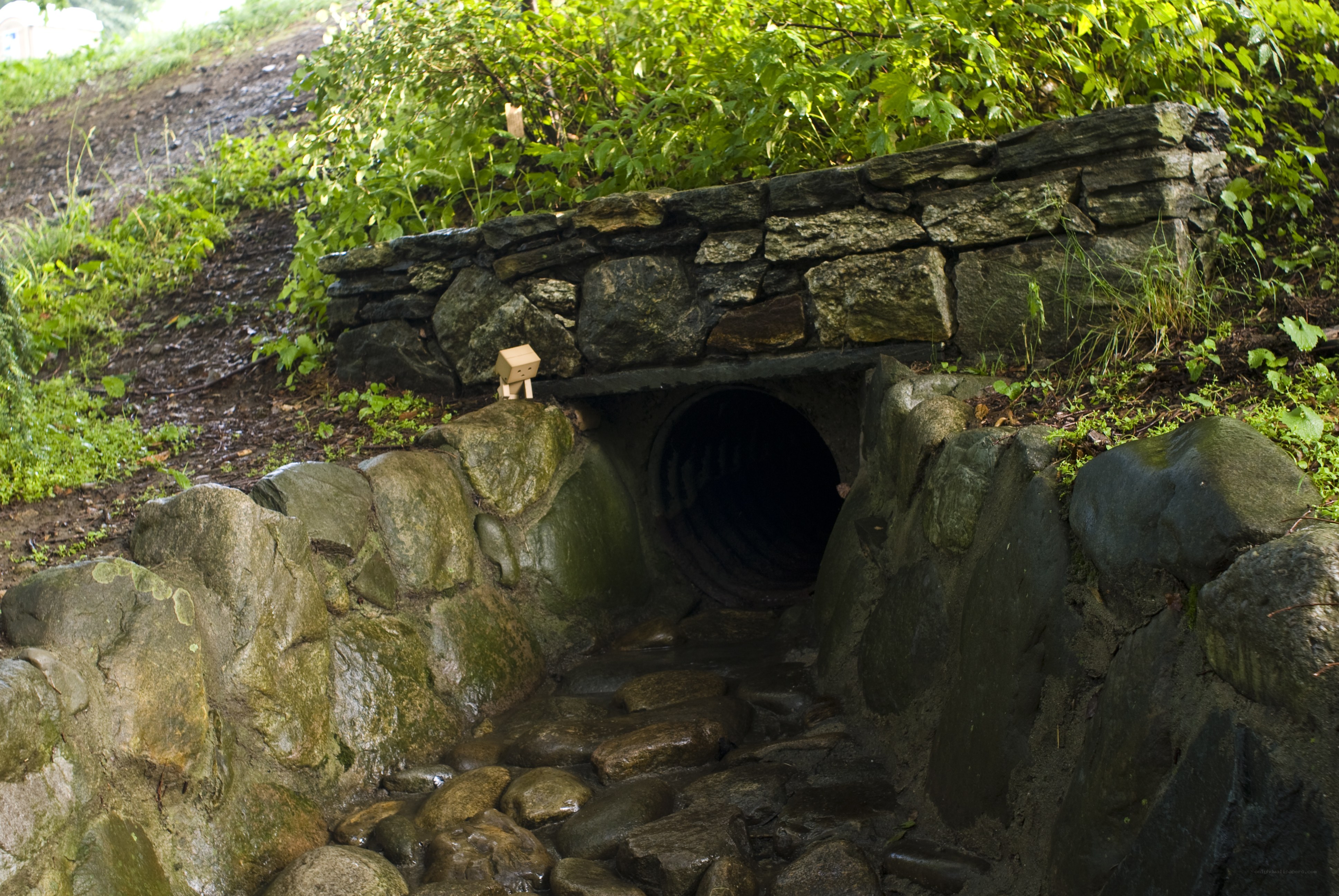 Small tunnel with cardboard figure