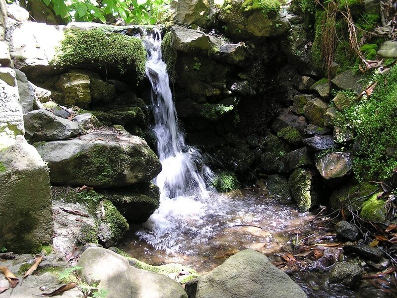 Small waterfall in a forest