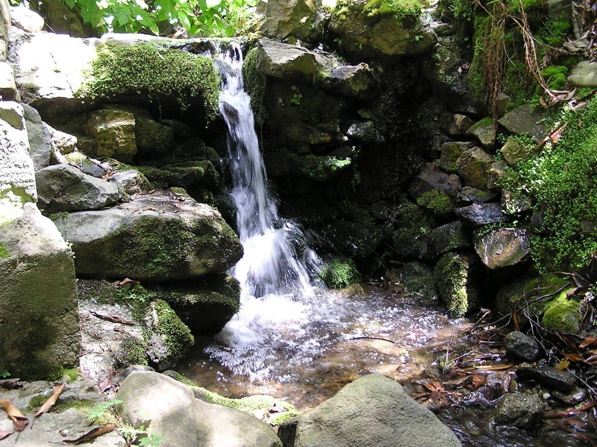 Small waterfall in a forest
