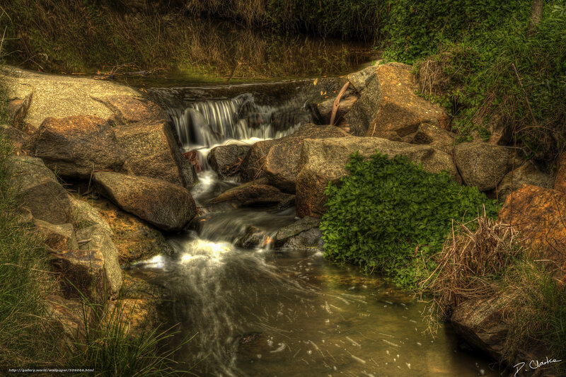 Small waterfall in a forest