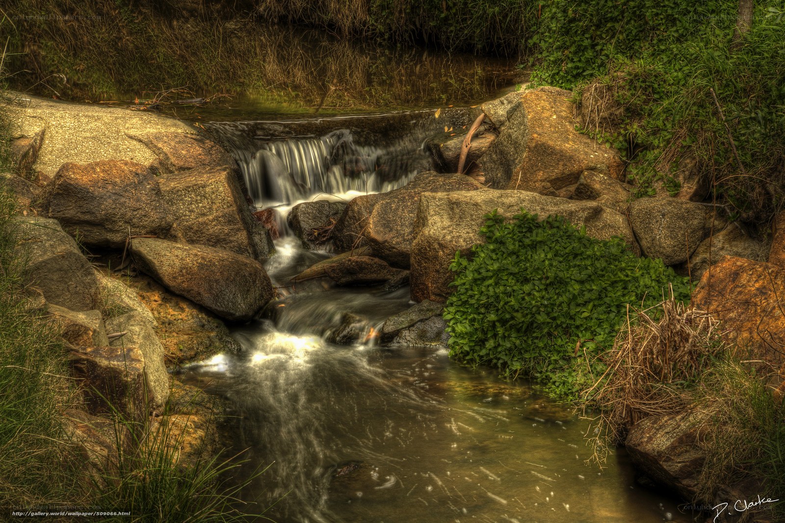 Small waterfall in a forest