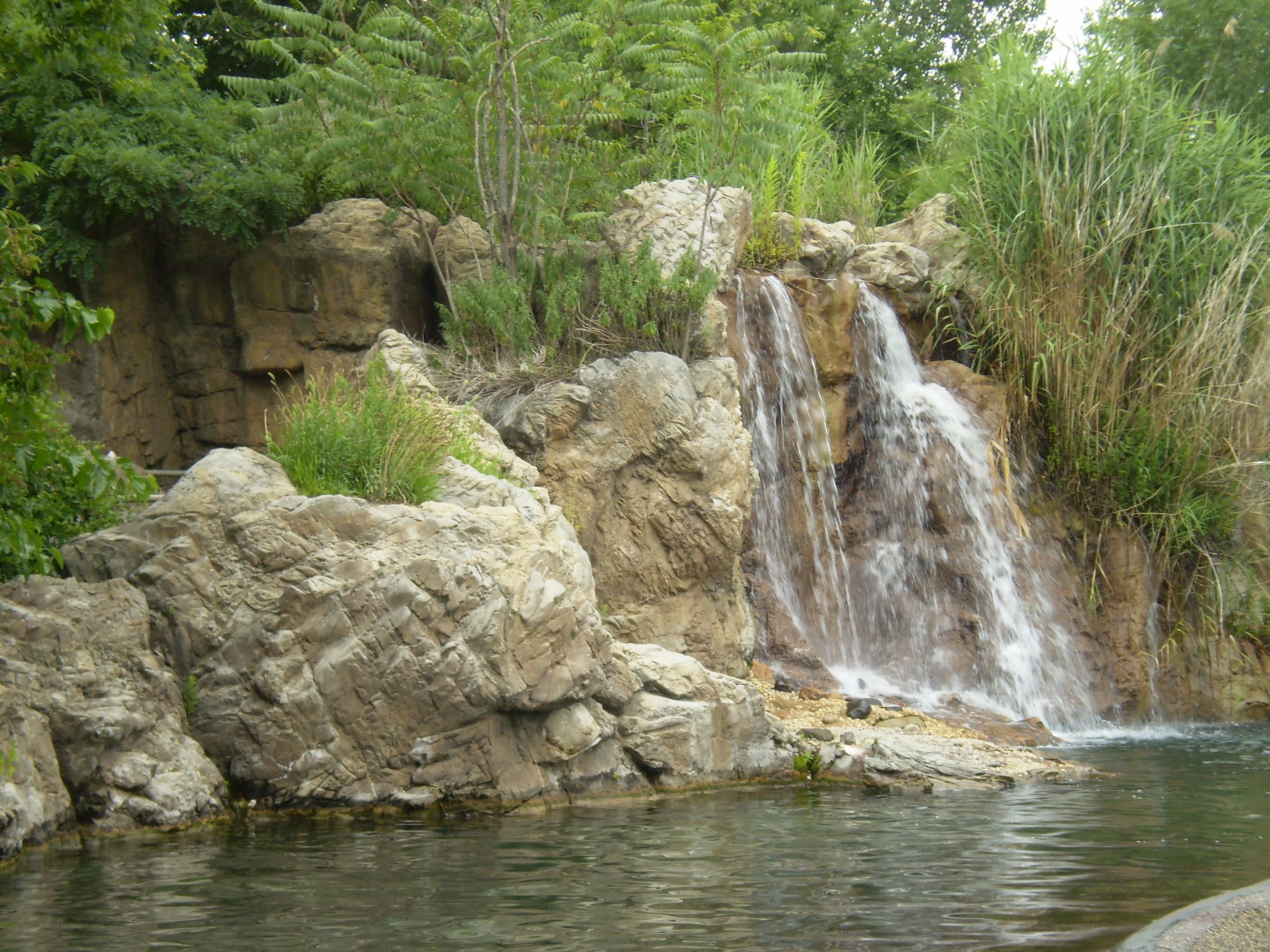 Small waterfall in a garden