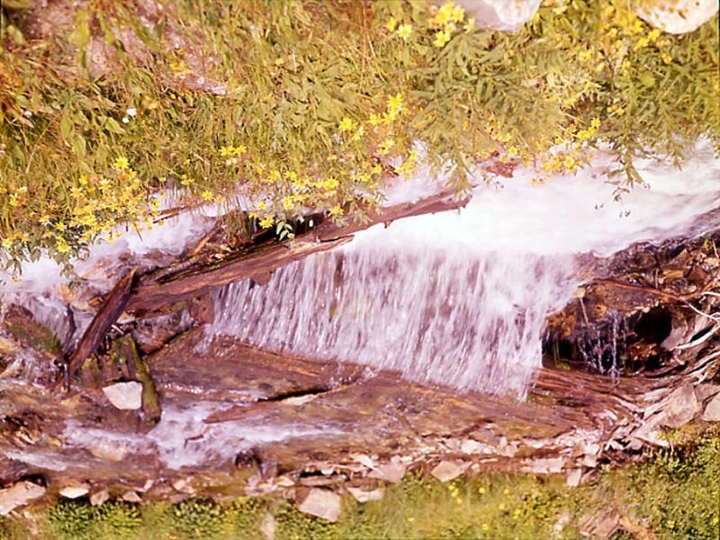 Small waterfall in a meadow
