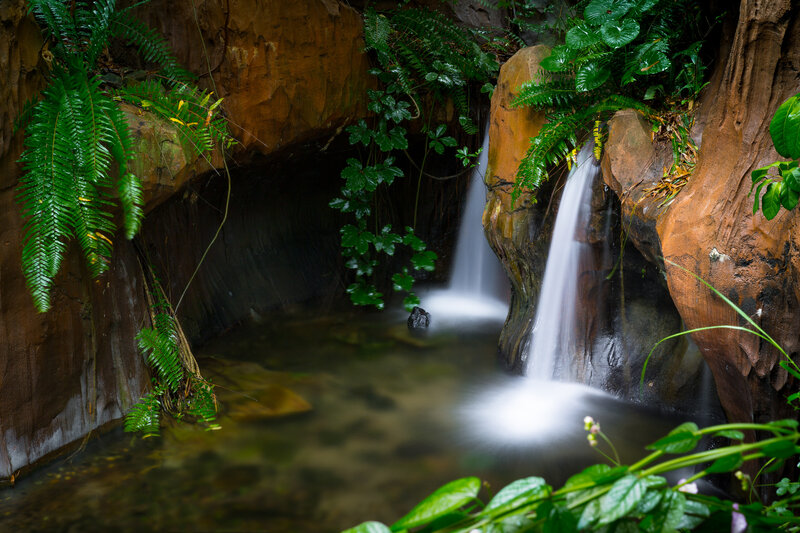Small Waterfall in Cave — Green, Serene