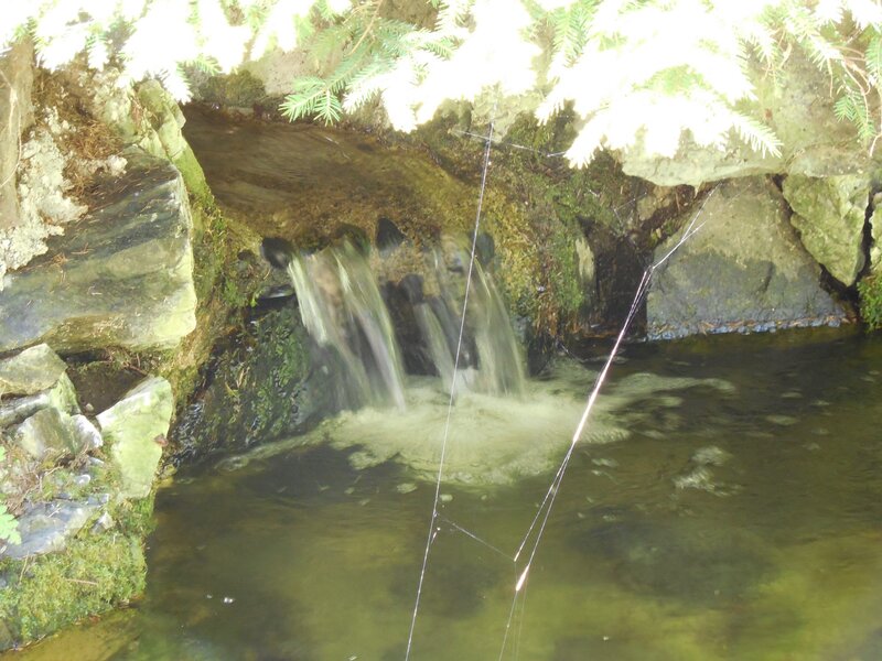 Small Waterfall in Cave — Green