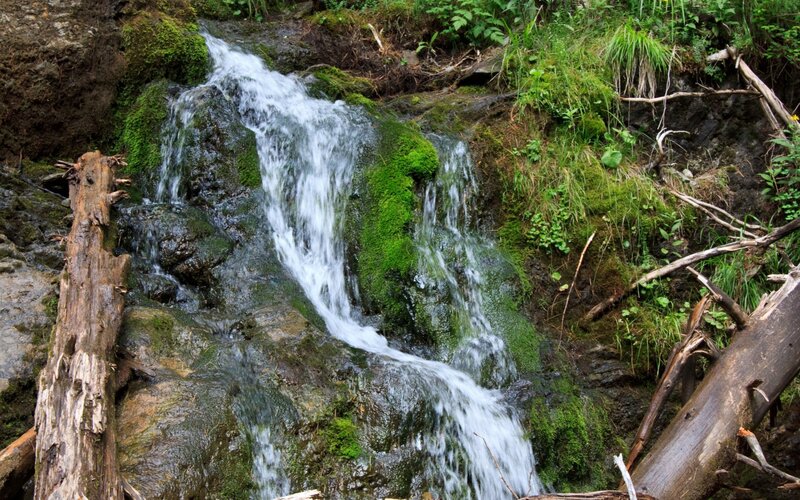 small waterfall in forest