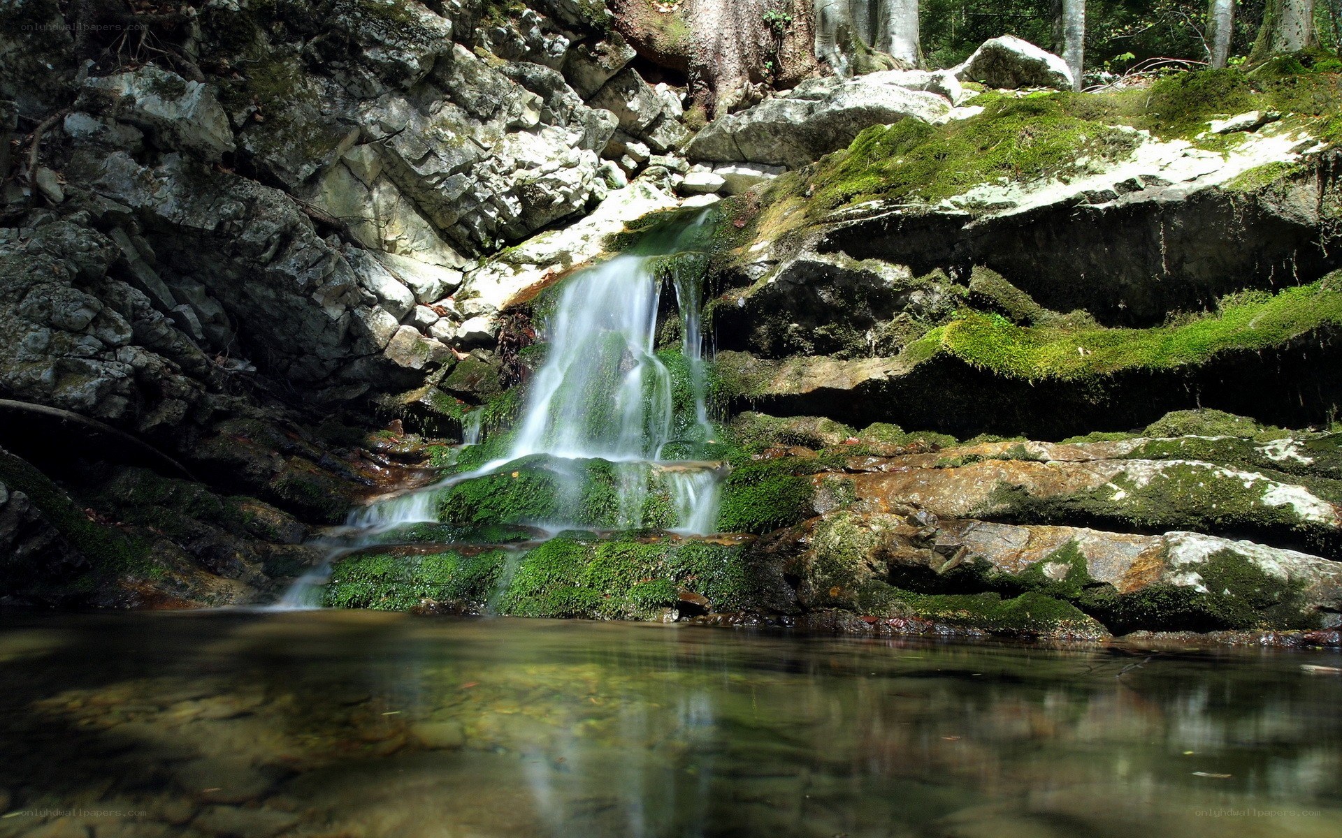 Small waterfall in forest