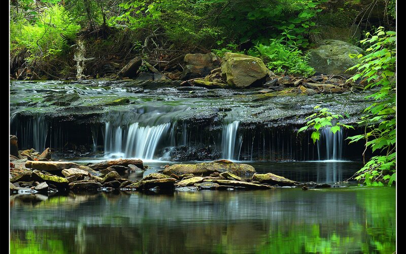 Small waterfall in forest