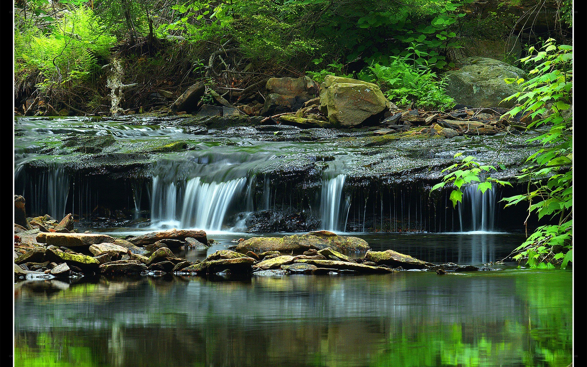 Small waterfall in forest