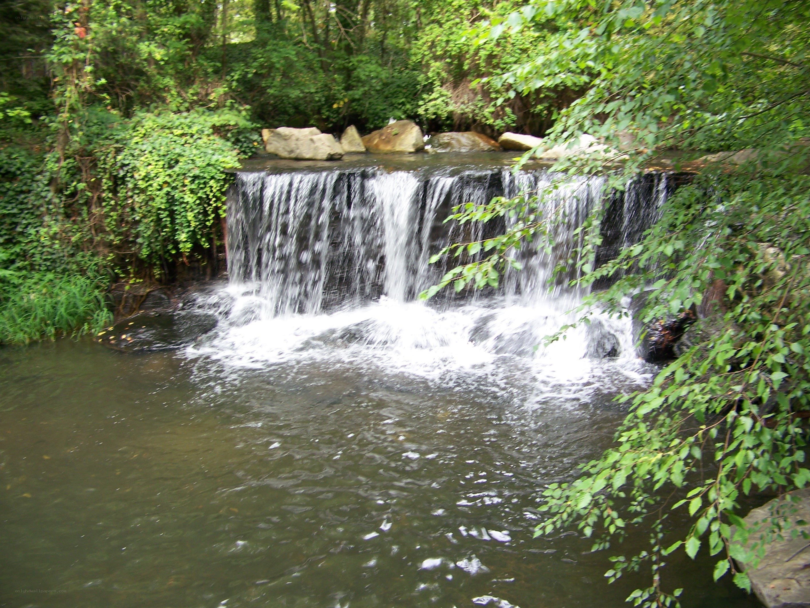 Small waterfall in forest