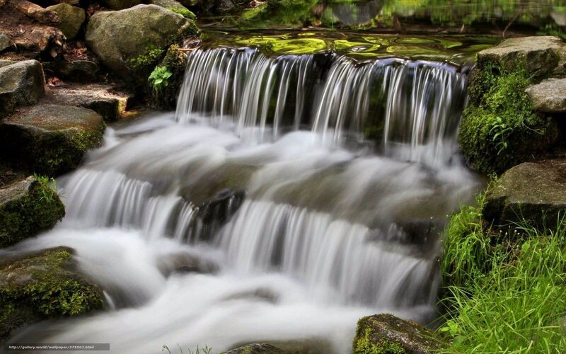 Small waterfall in forest