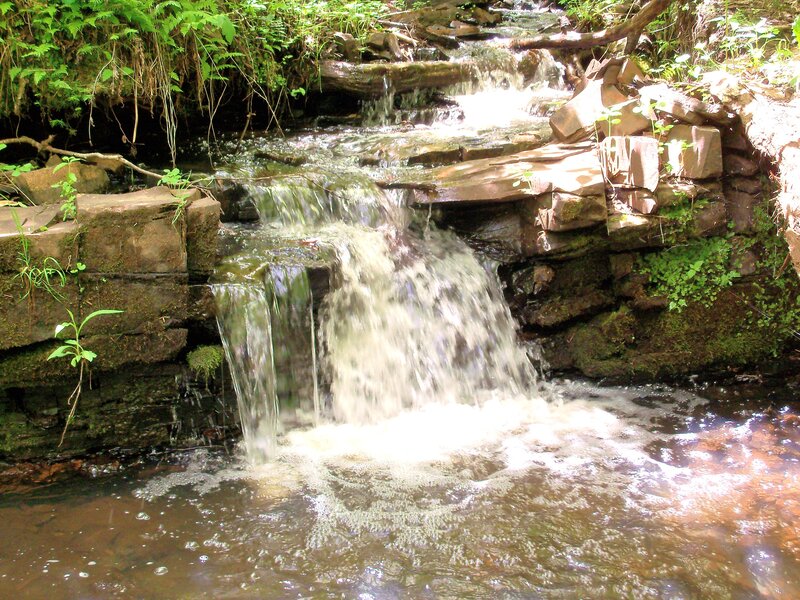 Small waterfall in forest