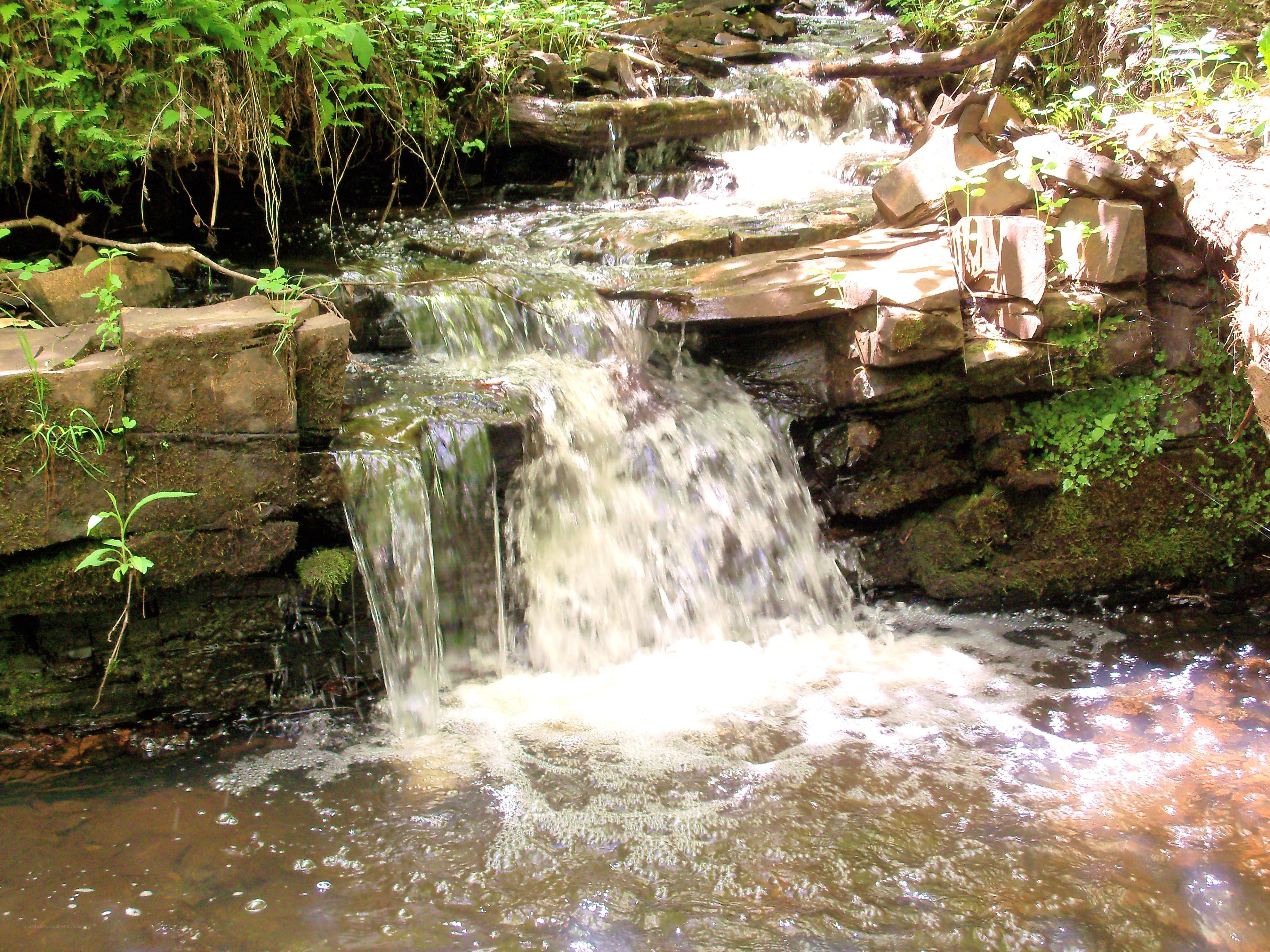 Small waterfall in forest