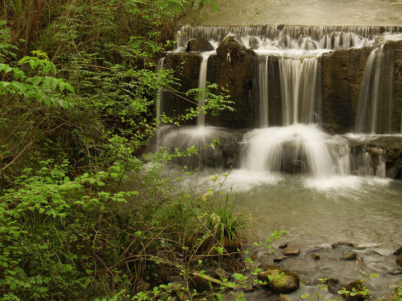 Small waterfall in forest