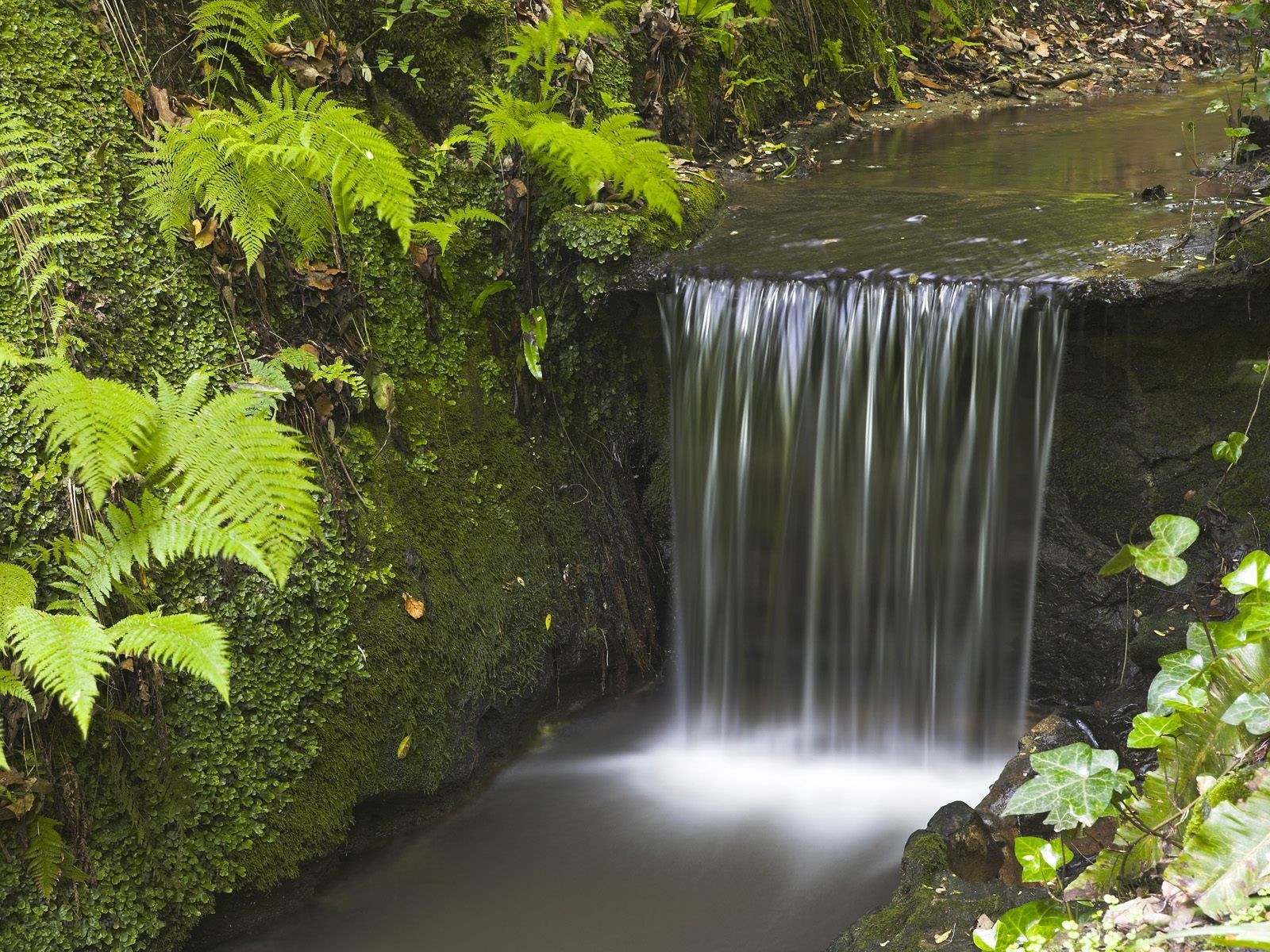 Small waterfall in forest