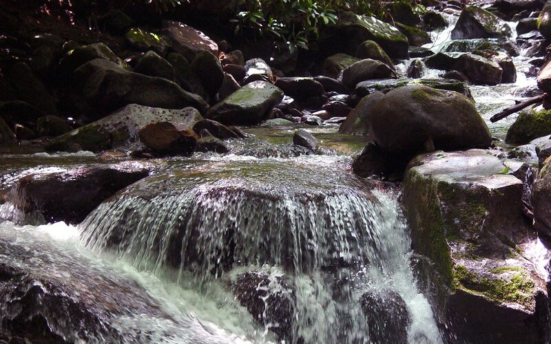 Small waterfall in forest