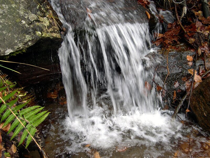Small waterfall in forest