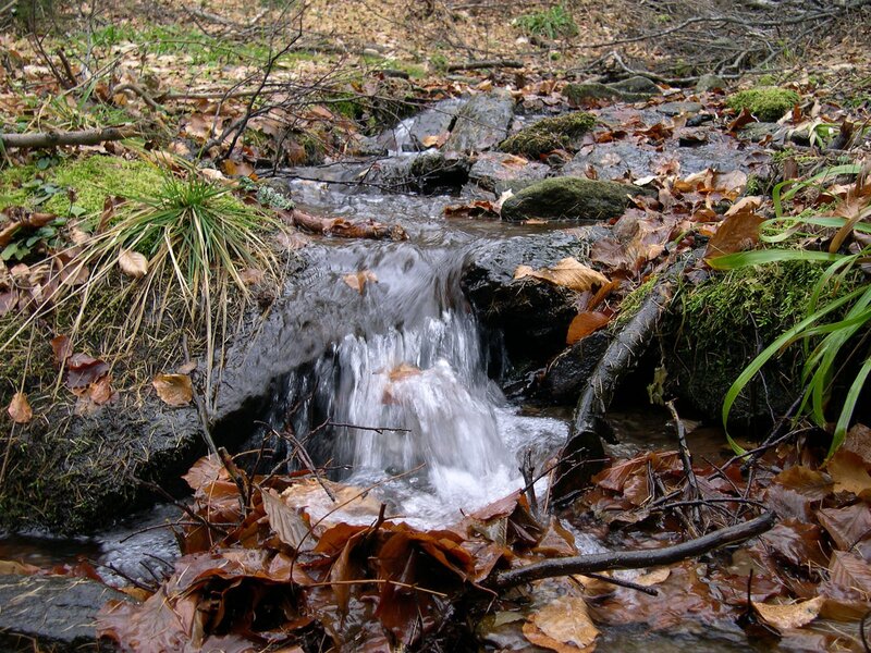 Small waterfall in forest